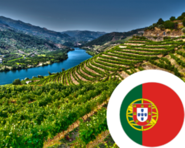 Picture for category Portugal STA